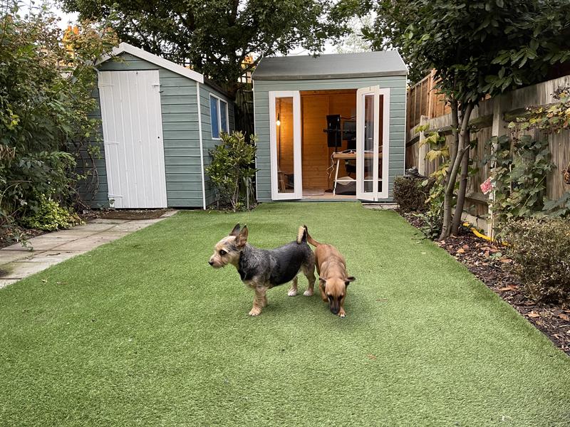 Cotham Small Garden Office - 12mm (FASTER DELIVERY)